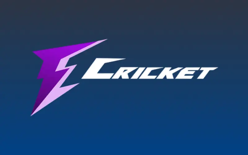 Back your favorite teams in eCricket tournaments at Stake Casino.