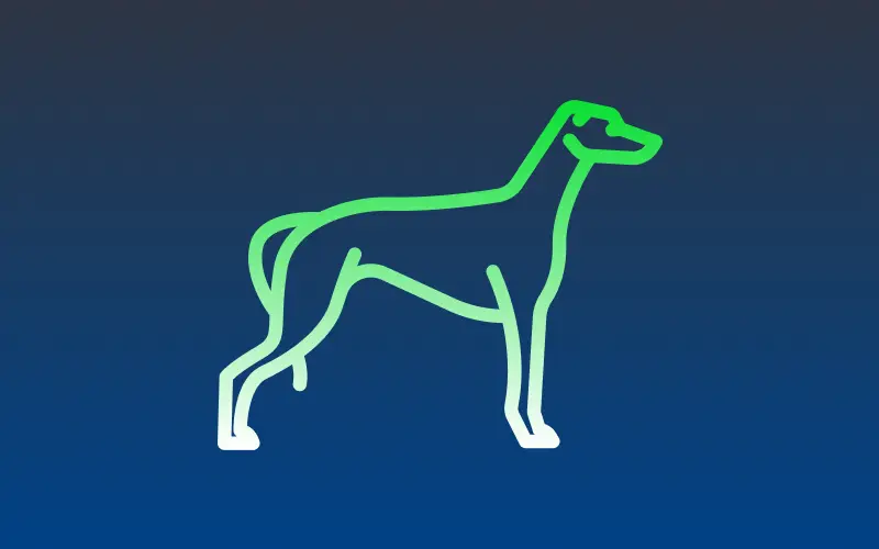 Follow live greyhound racing and win cash prizes at Stake Casino.