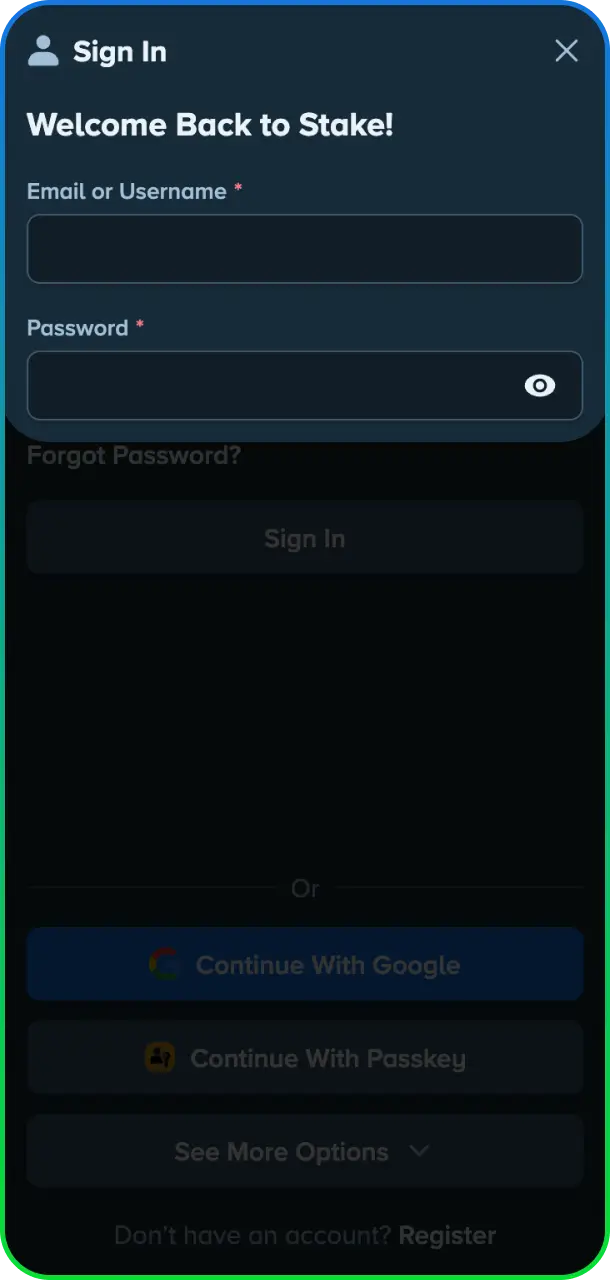 Enter your login details to access your account at Stake Casino.