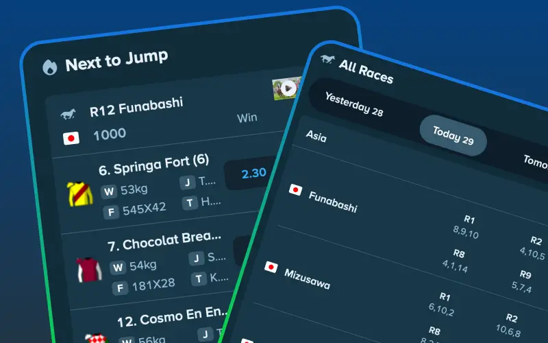 Get free tips and today's top picks for horse racing at Stake Casino.
